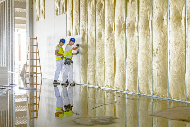 Best Garage Insulation  in USA